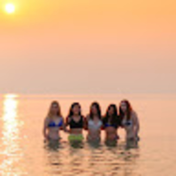 Meet your Posher, Ruby - Picture 1 of 1